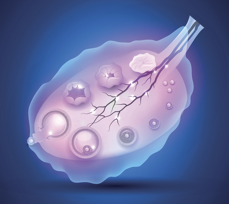 福州试管移植口碑好的医院选择指南：附2026年本地热门机构服务与费用解析